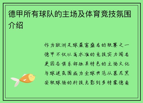 德甲所有球队的主场及体育竞技氛围介绍